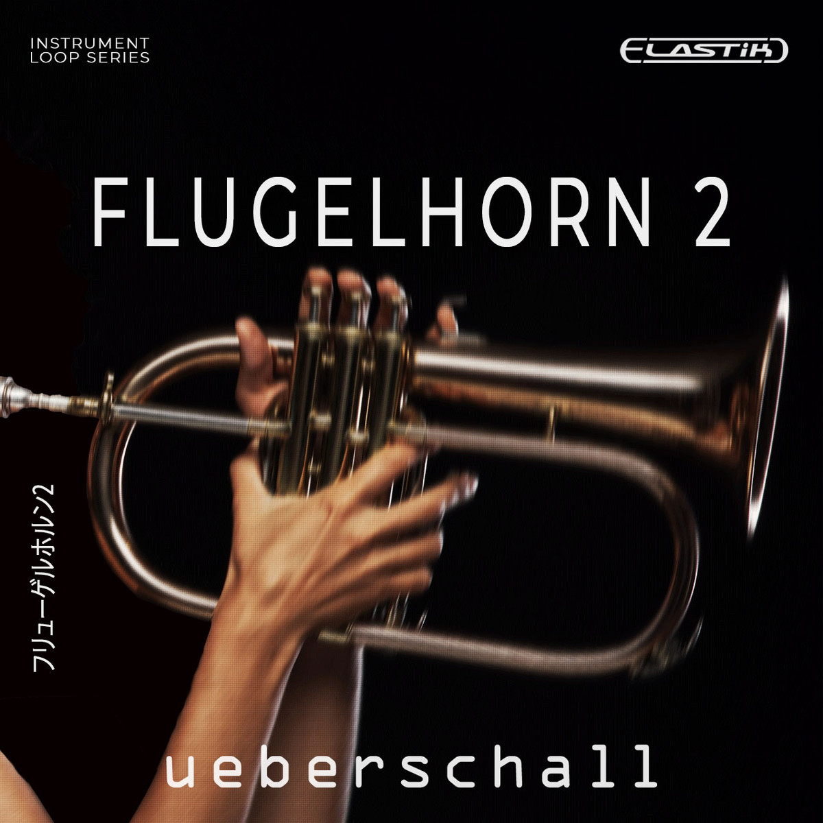 Cover: Flugelhorn 2