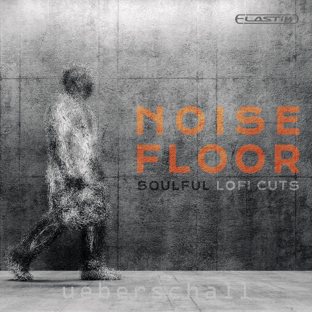 Cover: Noise Floor