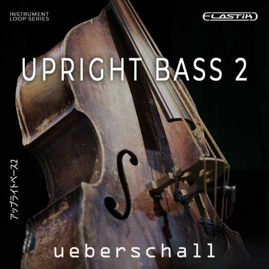 Upright Bass 2